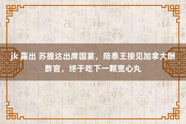 jk 露出 苏提达出席国宴，陪泰王接见加拿大酬酢官，终于吃下一颗宽心丸