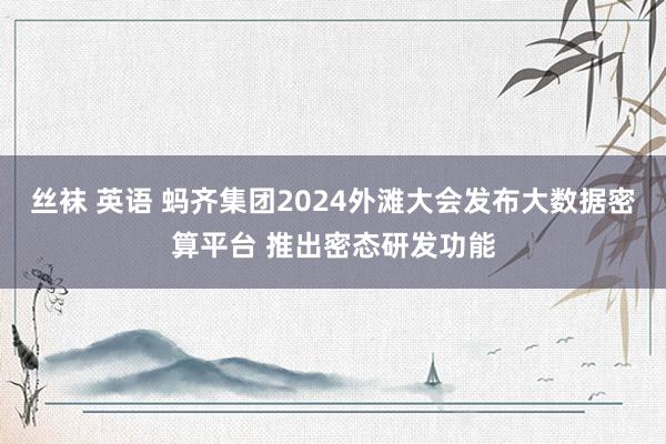 丝袜 英语 蚂齐集团2024外滩大会发布大数据密算平台 推出密态研发功能