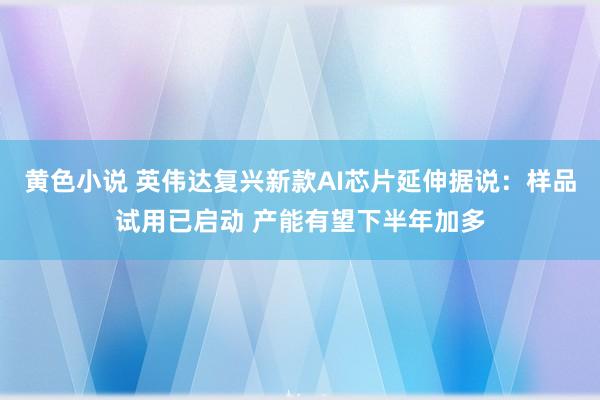 黄色小说 英伟达复兴新款AI芯片延伸据说：样品试用已启动 产能有望下半年加多