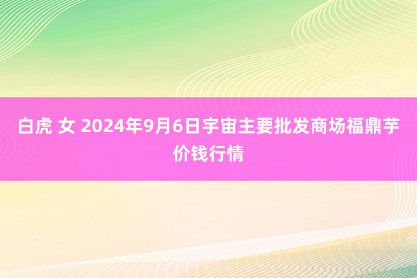 白虎 女 2024年9月6日宇宙主要批发商场福鼎芋价钱行情