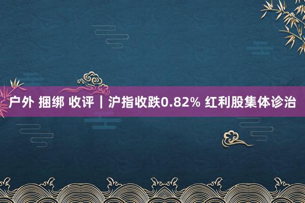 户外 捆绑 收评｜沪指收跌0.82% 红利股集体诊治