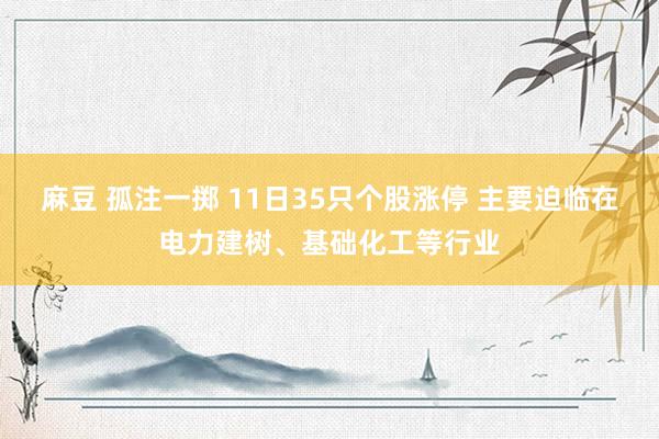 麻豆 孤注一掷 11日35只个股涨停 主要迫临在电力建树、基础化工等行业