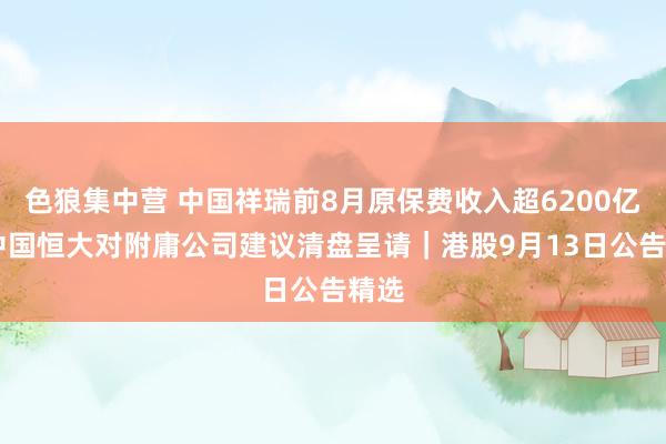 色狼集中营 中国祥瑞前8月原保费收入超6200亿元 中国恒大对附庸公司建议清盘呈请｜港股9月13日公告精选