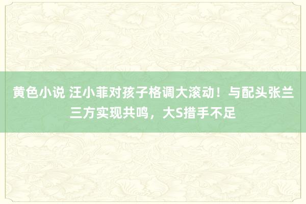 黄色小说 汪小菲对孩子格调大滚动！与配头张兰三方实现共鸣，大S措手不足