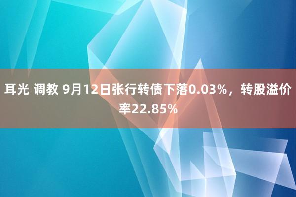 耳光 调教 9月12日张行转债下落0.03%，转股溢价率22.85%