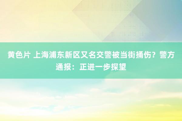 黄色片 上海浦东新区又名交警被当街捅伤？警方通报：正进一步探望