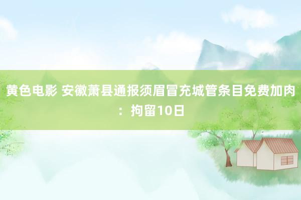 黄色电影 安徽萧县通报须眉冒充城管条目免费加肉：拘留10日