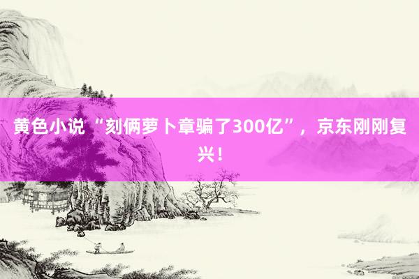 黄色小说 “刻俩萝卜章骗了300亿”，京东刚刚复兴！