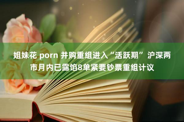 姐妹花 porn 并购重组进入“活跃期” 沪深两市月内已露馅8单紧要钞票重组计议