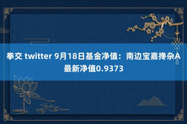 拳交 twitter 9月18日基金净值：南边宝嘉搀杂A最新净值0.9373