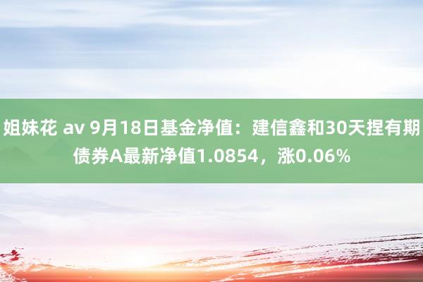 姐妹花 av 9月18日基金净值：建信鑫和30天捏有期债券A最新净值1.0854，涨0.06%