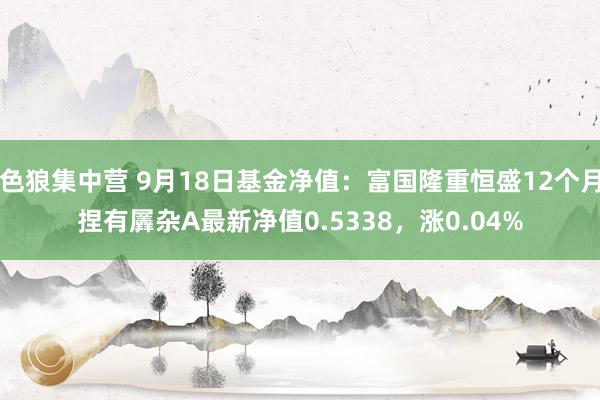 色狼集中营 9月18日基金净值：富国隆重恒盛12个月捏有羼杂A最新净值0.5338，涨0.04%