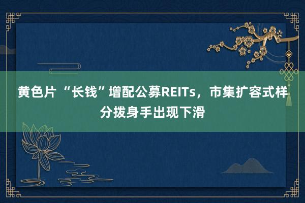 黄色片 “长钱”增配公募REITs，市集扩容式样分拨身手出现下滑