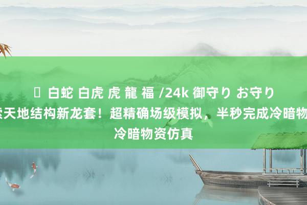 ✨白蛇 白虎 虎 龍 福 /24k 御守り お守り AI探索天地结构新龙套！超精确场级模拟，半秒完成冷暗物资仿真