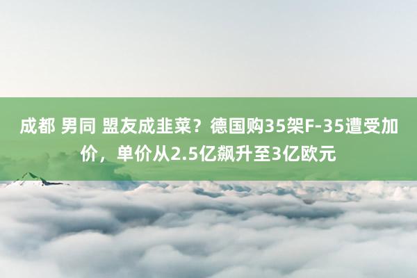 成都 男同 盟友成韭菜？德国购35架F-35遭受加价，单价从2.5亿飙升至3亿欧元