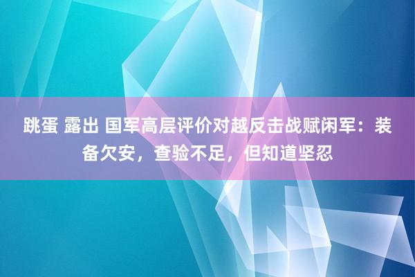 跳蛋 露出 国军高层评价对越反击战赋闲军：装备欠安，查验不足，但知道坚忍