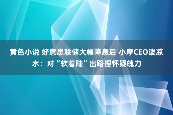 黄色小说 好意思联储大幅降息后 小摩CEO泼凉水：对“软着陆”出路捏怀疑魄力