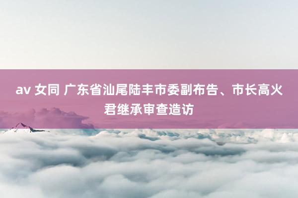 av 女同 广东省汕尾陆丰市委副布告、市长高火君继承审查造访