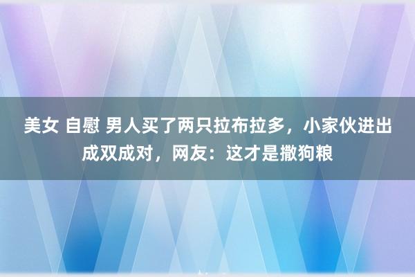 美女 自慰 男人买了两只拉布拉多，小家伙进出成双成对，网友：这才是撒狗粮