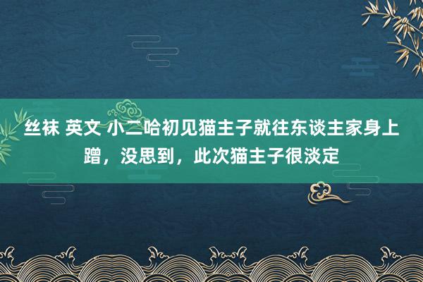 丝袜 英文 小二哈初见猫主子就往东谈主家身上蹭，没思到，此次猫主子很淡定