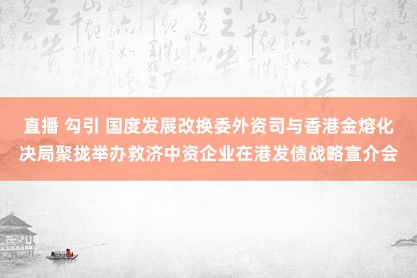 直播 勾引 国度发展改换委外资司与香港金熔化决局聚拢举办救济中资企业在港发债战略宣介会