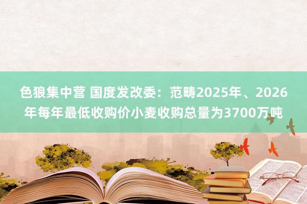 色狼集中营 国度发改委：范畴2025年、2026年每年最低收购价小麦收购总量为3700万吨