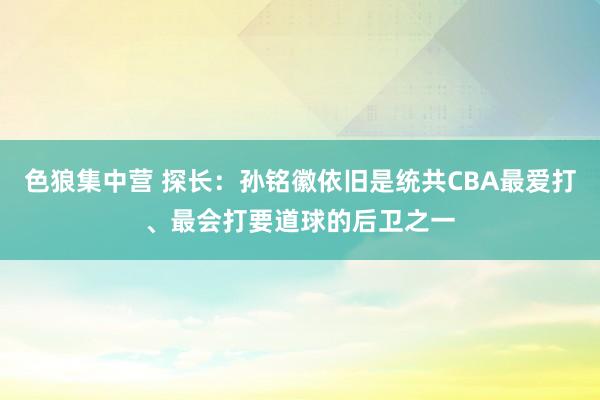 色狼集中营 探长：孙铭徽依旧是统共CBA最爱打、最会打要道球的后卫之一