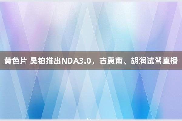 黄色片 昊铂推出NDA3.0，古惠南、胡润试驾直播