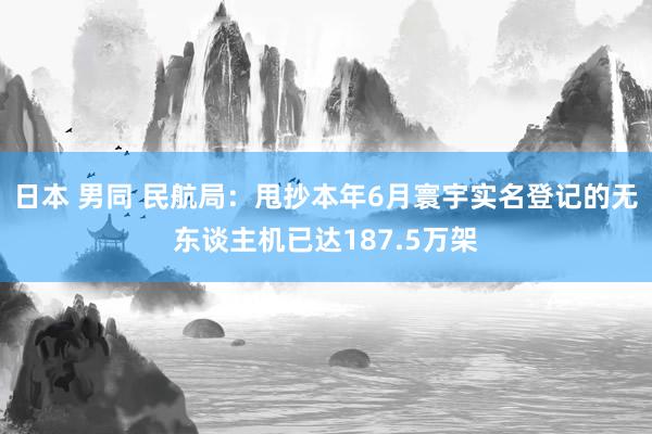 日本 男同 民航局：甩抄本年6月寰宇实名登记的无东谈主机已达187.5万架