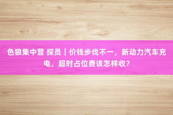 色狼集中营 探员｜价钱步伐不一，新动力汽车充电，超时占位费该怎样收？