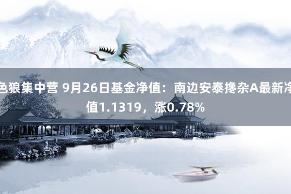 色狼集中营 9月26日基金净值：南边安泰搀杂A最新净值1.1319，涨0.78%