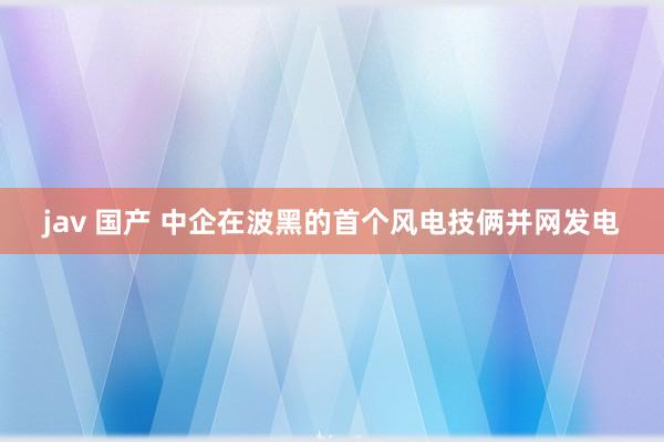 jav 国产 中企在波黑的首个风电技俩并网发电