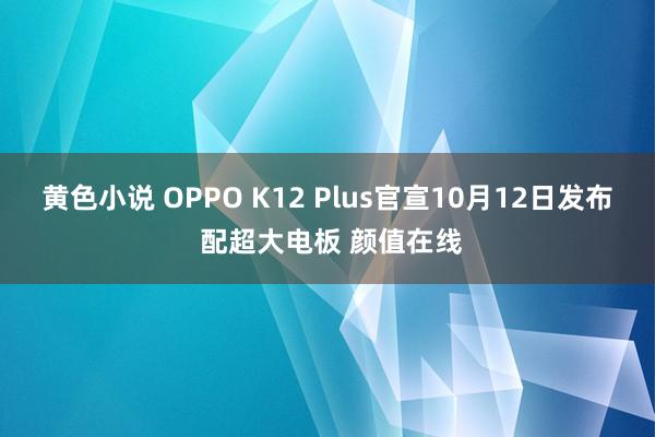 黄色小说 OPPO K12 Plus官宣10月12日发布 配超大电板 颜值在线