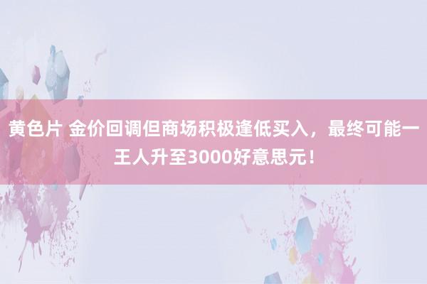 黄色片 金价回调但商场积极逢低买入，最终可能一王人升至3000好意思元！