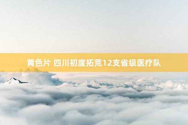 黄色片 四川初度拓荒12支省级医疗队