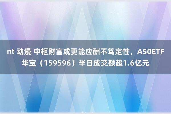 nt 动漫 中枢财富或更能应酬不笃定性，A50ETF华宝（159596）半日成交额超1.6亿元