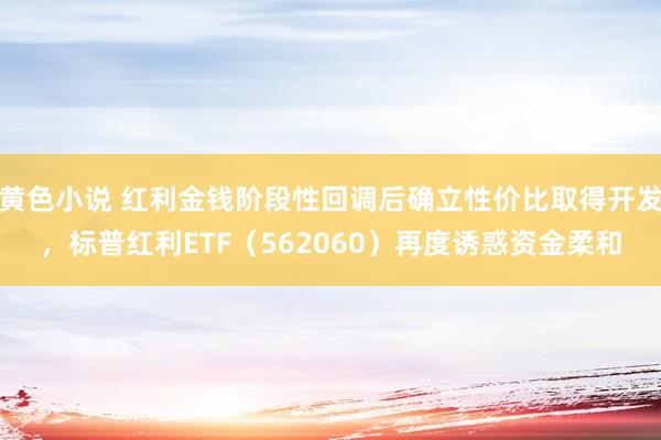 黄色小说 红利金钱阶段性回调后确立性价比取得开发，标普红利ETF（562060）再度诱惑资金柔和