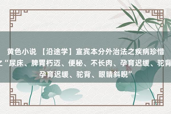 黄色小说 【沿途学】宣宾本分外治法之疾病珍惜系列：赤子之“尿床、脾胃朽迈、便秘、不长肉、孕育迟缓、驼背、眼睛斜睨”