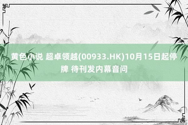 黄色小说 超卓领越(00933.HK)10月15日起停牌 待刊发内幕音问