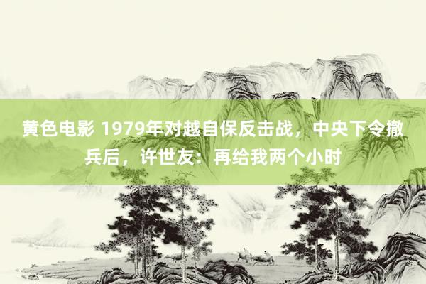 黄色电影 1979年对越自保反击战，中央下令撤兵后，许世友：再给我两个小时