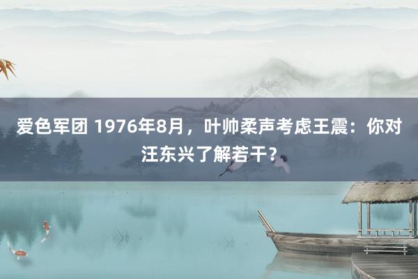 爱色军团 1976年8月，叶帅柔声考虑王震：你对汪东兴了解若干？