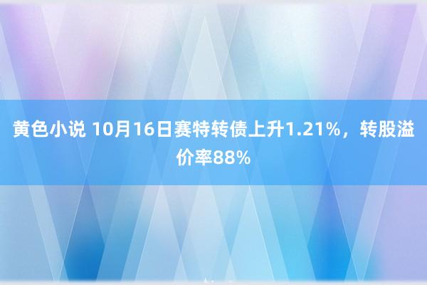 黄色小说 10月16日赛特转债上升1.21%，转股溢价率88%