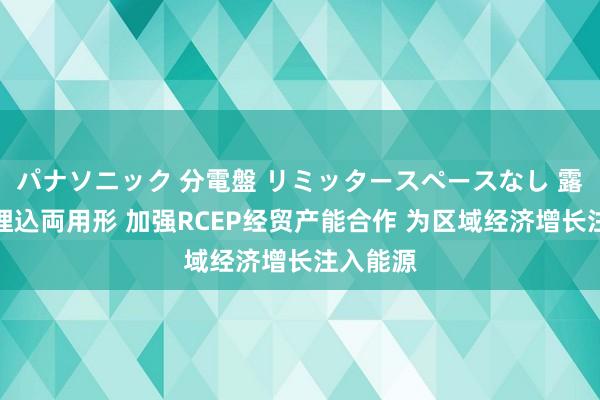 パナソニック 分電盤 リミッタースペースなし 露出・半埋込両用形 加强RCEP经贸产能合作 为区域经济增长注入能源