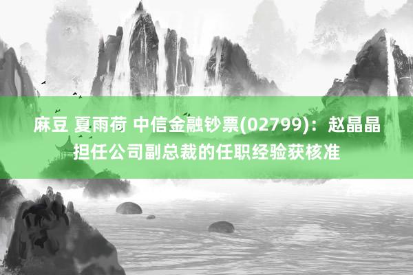 麻豆 夏雨荷 中信金融钞票(02799)：赵晶晶担任公司副总裁的任职经验获核准