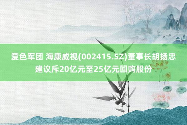 爱色军团 海康威视(002415.SZ)董事长胡扬忠建议斥20亿元至25亿元回购股份