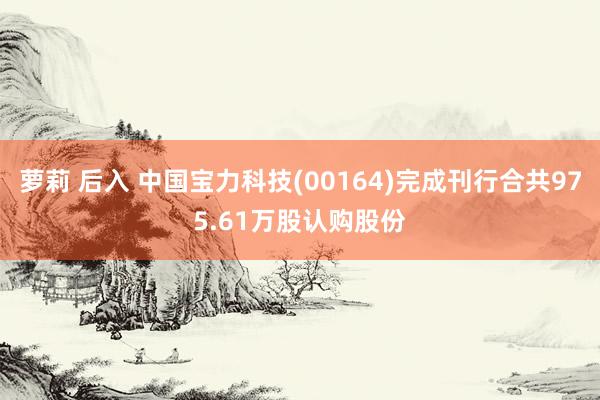 萝莉 后入 中国宝力科技(00164)完成刊行合共975.61万股认购股份