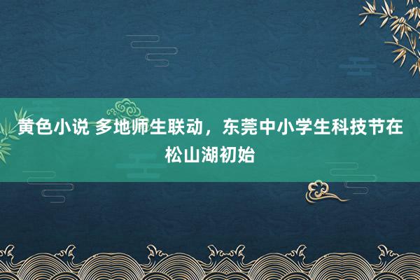 黄色小说 多地师生联动，东莞中小学生科技节在松山湖初始