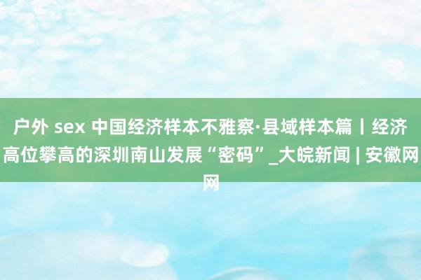 户外 sex 中国经济样本不雅察·县域样本篇丨经济高位攀高的深圳南山发展“密码”_大皖新闻 | 安徽网