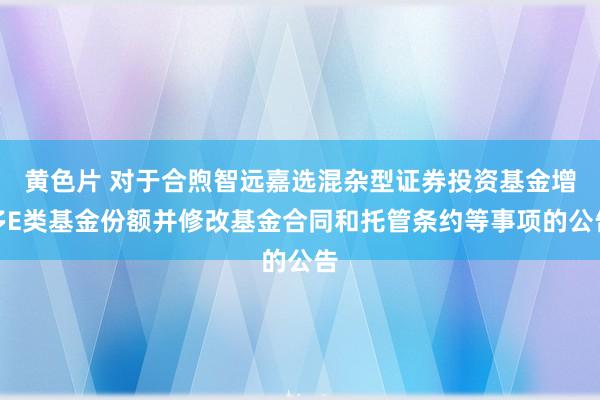 黄色片 对于合煦智远嘉选混杂型证券投资基金增多E类基金份额并修改基金合同和托管条约等事项的公告