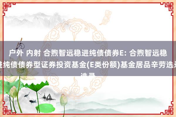 户外 内射 合煦智远稳进纯债债券E: 合煦智远稳进纯债债券型证券投资基金(E类份额)基金居品辛劳选录